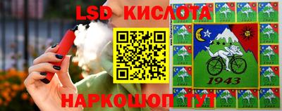 индика Можайск