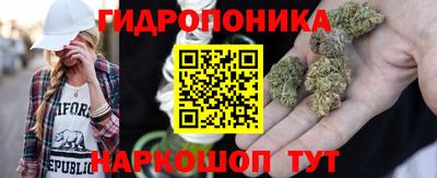 СК Можга