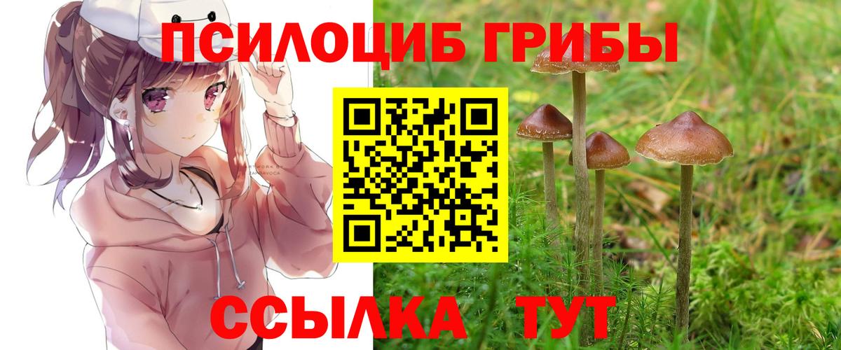 Псилоцибиновые грибы Psilocybe  Вход с VPN  Чайковский  Псилоцибиновые грибы MAGIC MUSHROOMS 
