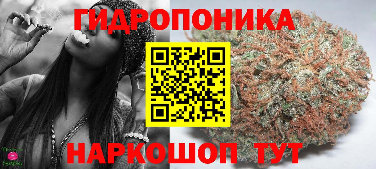 Чайковский  Канабис LSD WEED  МАРИХУАНА ГИДРОПОН  Вход с VPN  Канабис Ganja 